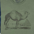 Custom Camel Graphic T-Shirt: Funny Dad Gift, Vacation Wear